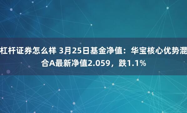 杠杆证券怎么样 3月25日基金净值：华宝核心优势混合A最新净值2.059，跌1.1%