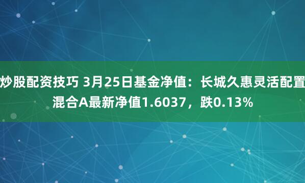 炒股配资技巧 3月25日基金净值：长城久惠灵活配置混合A最新净值1.6037，跌0.13%