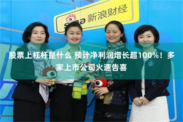 股票上杠杆是什么 预计净利润增长超100%！多家上市公司火速告喜