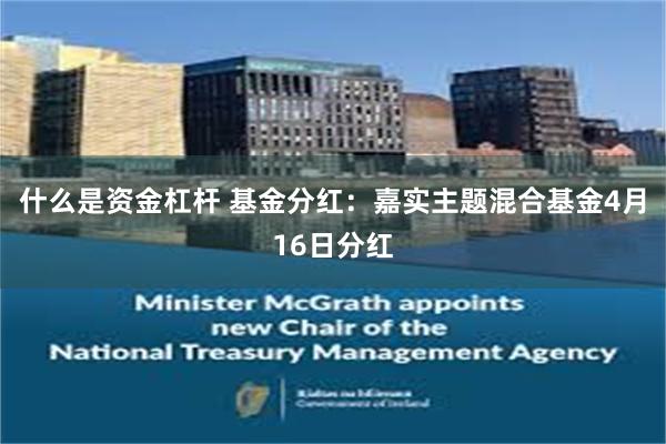 什么是资金杠杆 基金分红：嘉实主题混合基金4月16日分红