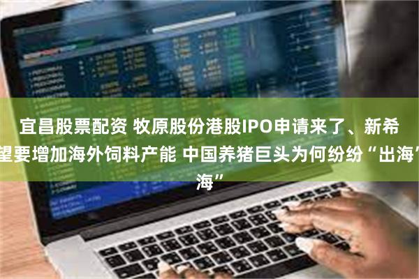 宜昌股票配资 牧原股份港股IPO申请来了、新希望要增加海外饲料产能 中国养猪巨头为何纷纷“出海”
