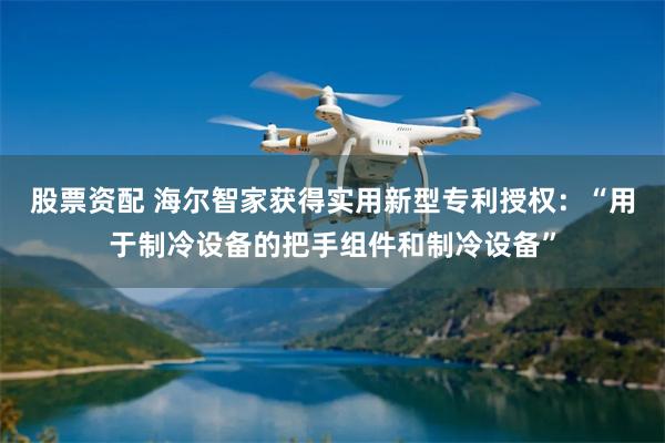 股票资配 海尔智家获得实用新型专利授权：“用于制冷设备的把手组件和制冷设备”