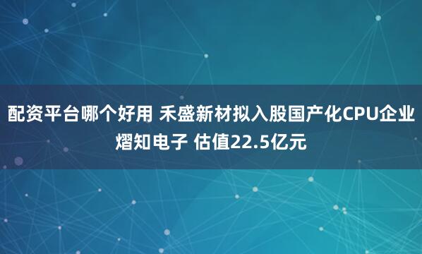 配资平台哪个好用 禾盛新材拟入股国产化CPU企业熠知电子 估值22.5亿元