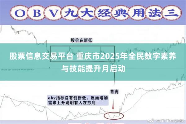 股票信息交易平台 重庆市2025年全民数字素养与技能提升月启动