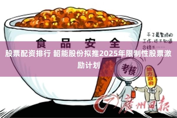 股票配资排行 韶能股份拟推2025年限制性股票激励计划