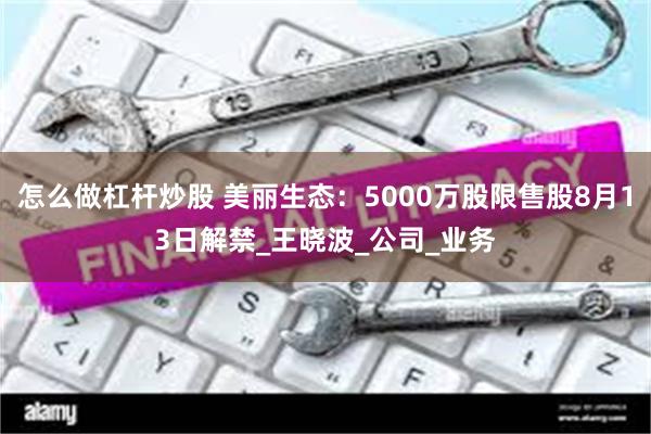 怎么做杠杆炒股 美丽生态：5000万股限售股8月13日解禁_王晓波_公司_业务