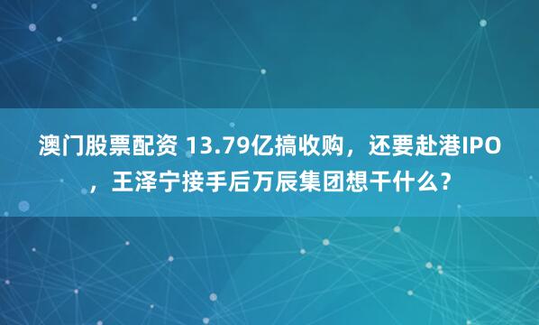 澳门股票配资 13.79亿搞收购，还要赴港IPO，王泽宁接手后万辰集团想干什么？